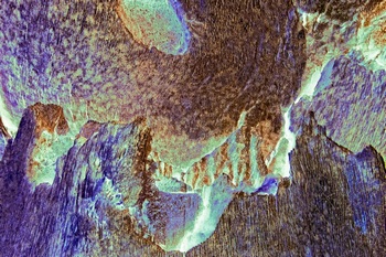 A 16C